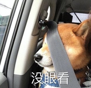 ​情侣物件大合集｜单身狗慎入