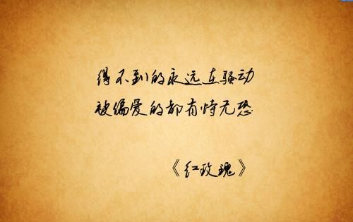 有恃无恐的偏爱是什么意思