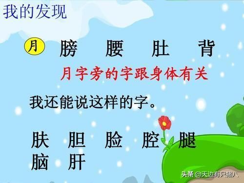 月字旁的字和什么有关？一般月字旁的字和什么有关-第1张图片-