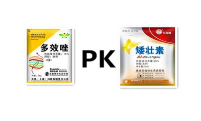 ​矮壮素和多效唑的区别及优缺点（矮壮素与多效唑）