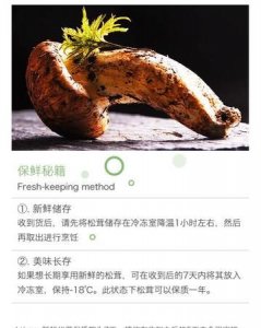 ​没有冰箱怎么保存松茸,松茸如何保存方法
