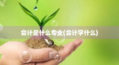 ​会计是什么专业(会计学什么)