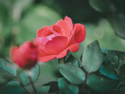 ​男生真心喜欢一个女生的4个表现，很准