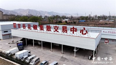 ​电商驱动品质跃升 甘谷花椒迎来销售热潮