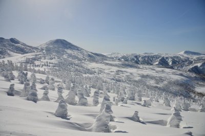 ​入侵日本的植物雪怪