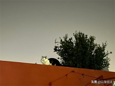 ​执行和解协议，看完这篇这文章你再签