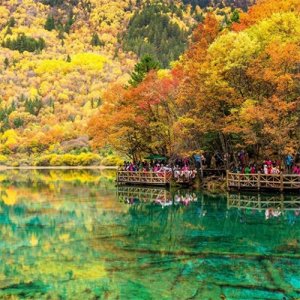 ​晚秋才是真的绝，景美人少，9个极致的晚秋风光，一定别错过