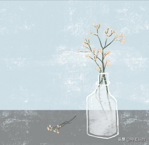 ​小众有寓意的花（小众的花又惊艳的鲜花推荐）