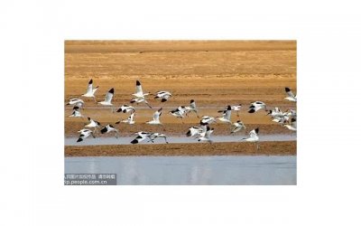 ​婚姻里感情和利益怎么选择？不谈利益的婚姻就是空中楼阁