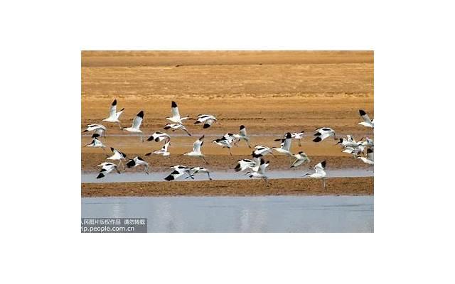 婚姻里感情和利益怎么选择?不谈利益的婚姻就是空中楼阁 婚姻里感情和利益怎么选择?不谈利益的婚姻就是空中楼阁