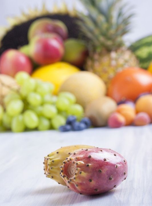 仙人掌果的功效与作用,仙人掌的果实图8