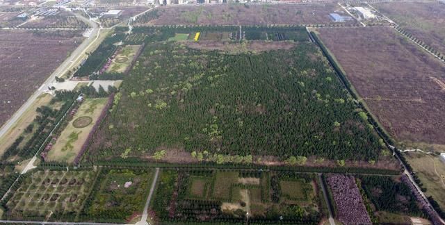 秦始皇陵墓为什么不挖的真正原因，秦始皇的陵墓为什么到现在没有挖开，到底是什么原因呢？图3