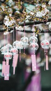 ​中华42度多少钱一瓶(中华228多少钱一包)