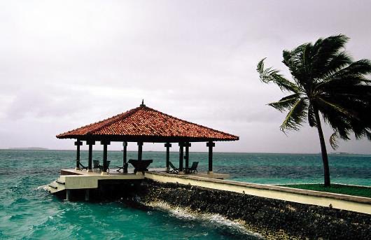 网络图片(侵删)