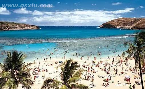 网络图片(侵删)