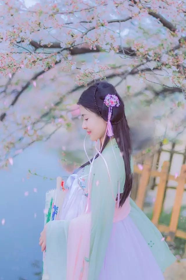 武汉樱花观赏地(武汉最新樱花预报来了)(25)