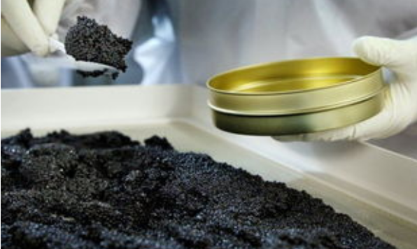 鱼子酱是什么鱼的籽,最好的鱼子酱是什么鱼做的图3