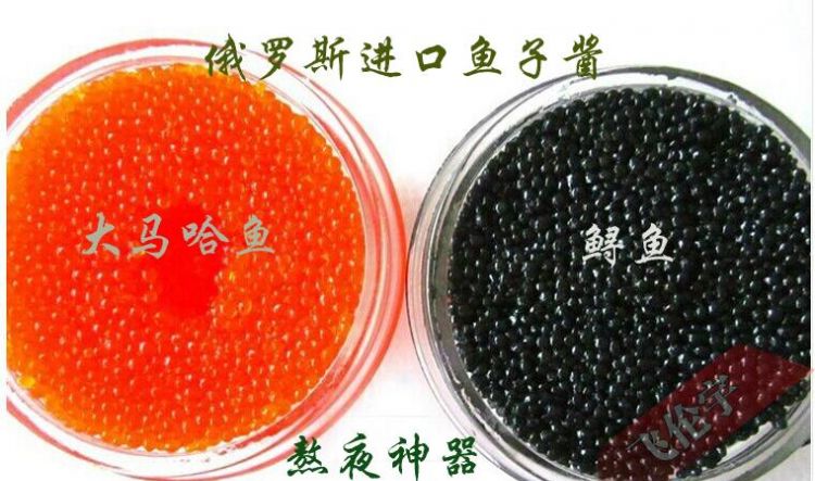 鱼子酱是什么鱼的鱼卵