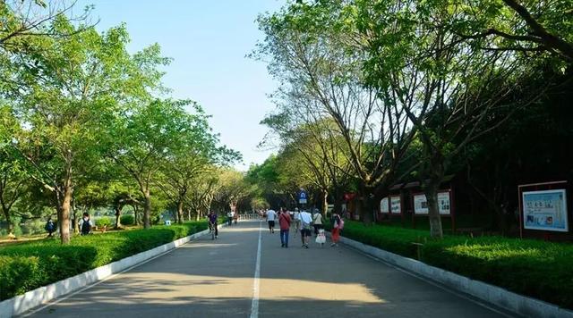 广州大夫山在哪（广州番禺-大夫山）(13)