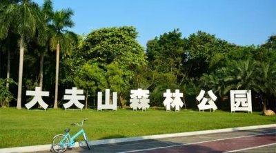 ​广州大夫山在哪（广州番禺-大夫山）