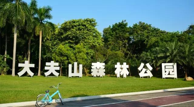 广州大夫山在哪（广州番禺-大夫山）(1)