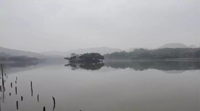 广州大夫山在哪（广州番禺-大夫山）(8)