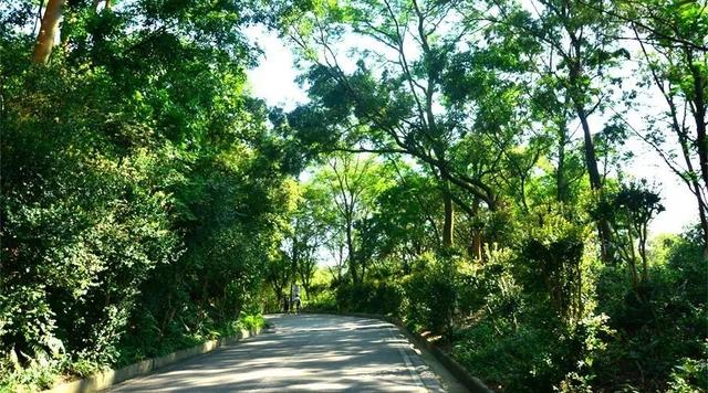 广州大夫山在哪（广州番禺-大夫山）(15)