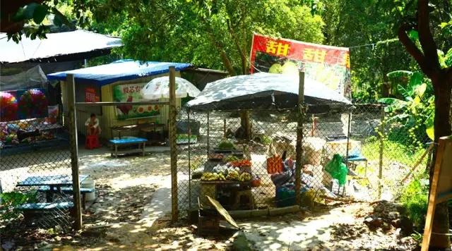 广州大夫山在哪（广州番禺-大夫山）(21)