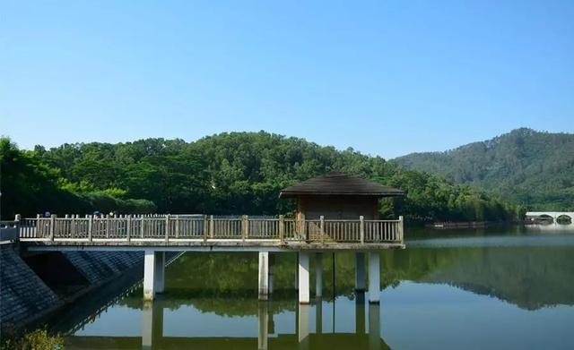 广州大夫山在哪（广州番禺-大夫山）(9)