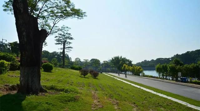 广州大夫山在哪（广州番禺-大夫山）(14)