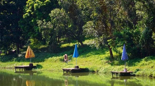 广州大夫山在哪（广州番禺-大夫山）(20)