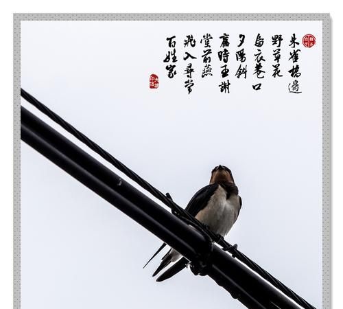 昔日王谢堂前燕，飞入寻常百姓家出自哪位诗人的哪首诗作