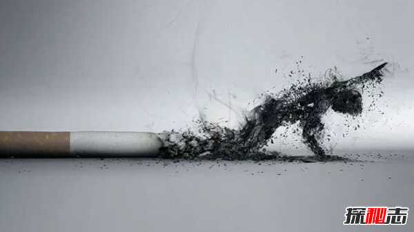 生活中十大有趣的科学现象 人不睡觉只能活11天(涨知识)