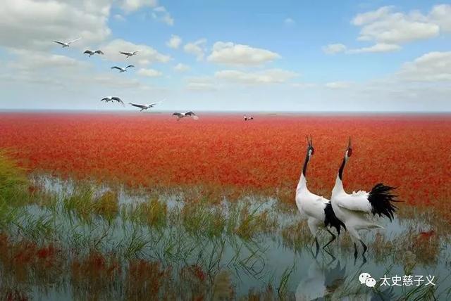 江苏射阳县城市(江苏省盐城市射阳县)(3)