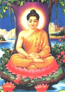 ​“释迦摩尼：从王子到觉者的传奇之旅’