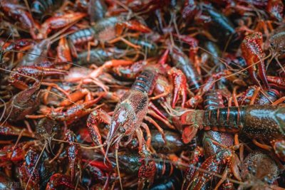 ​清洗小龙虾10人9错，大厨教您正确清洗方法，让你吃得安心又美味