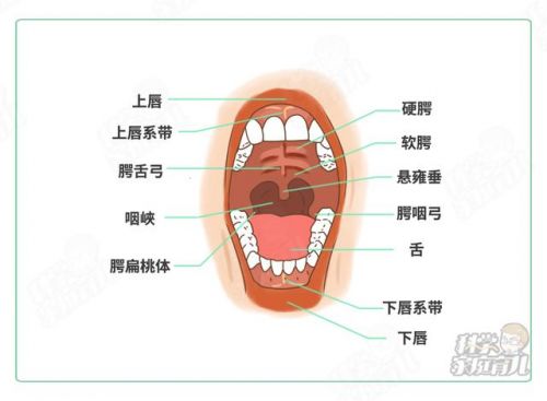 儿童咽喉疱疹能自愈吗不发烧(疱疹最怕三种水果)-第2张图片-