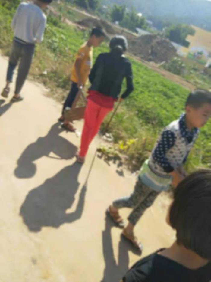 少先队活动总结（见行动少先队活动总结）