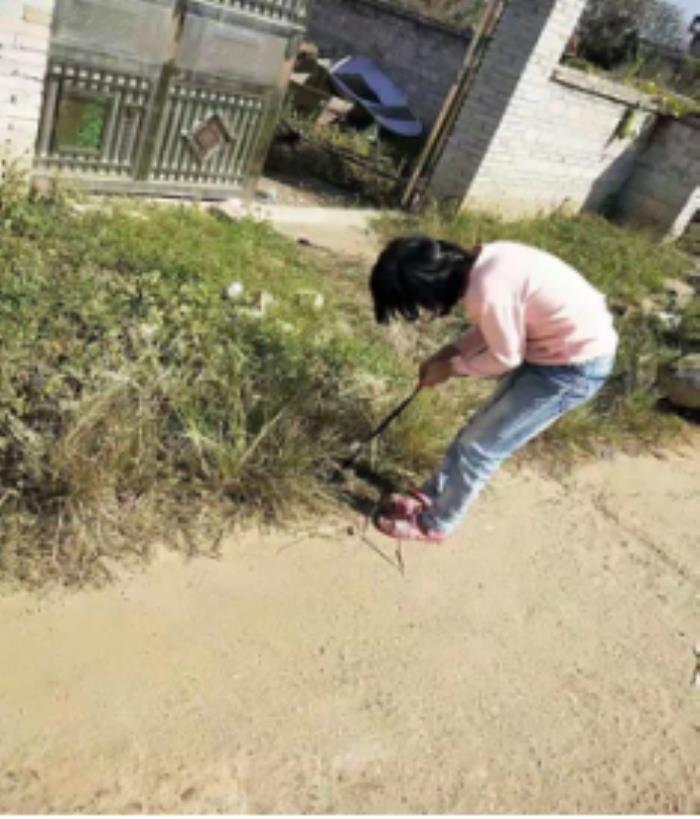 少先队活动总结（见行动少先队活动总结）