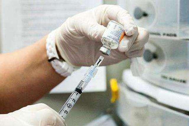 养泰迪的技巧（养好泰迪6大攻略）(4)