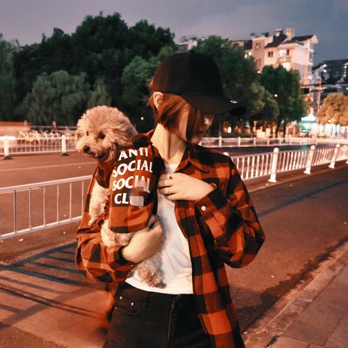 养泰迪的技巧（养好泰迪6大攻略）(2)