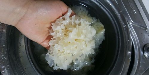 煮好的银耳汤在冰箱中可以放多久 煮好的银耳汤在冰箱中可以放的时间