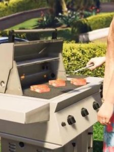 ​gta5消防车(gta5消防车怎么接任务)