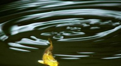 ​金鳞岂是池中物下一句,金鳞岂是池中之物一遇风云便化龙下一句