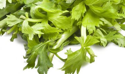 ​常吃芹菜养血补虚 低血压脾胃虚弱的人不宜吃