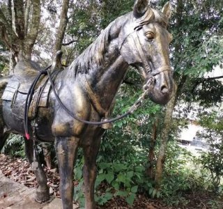 ​晚年得志是什么意思(早年得志的面相)