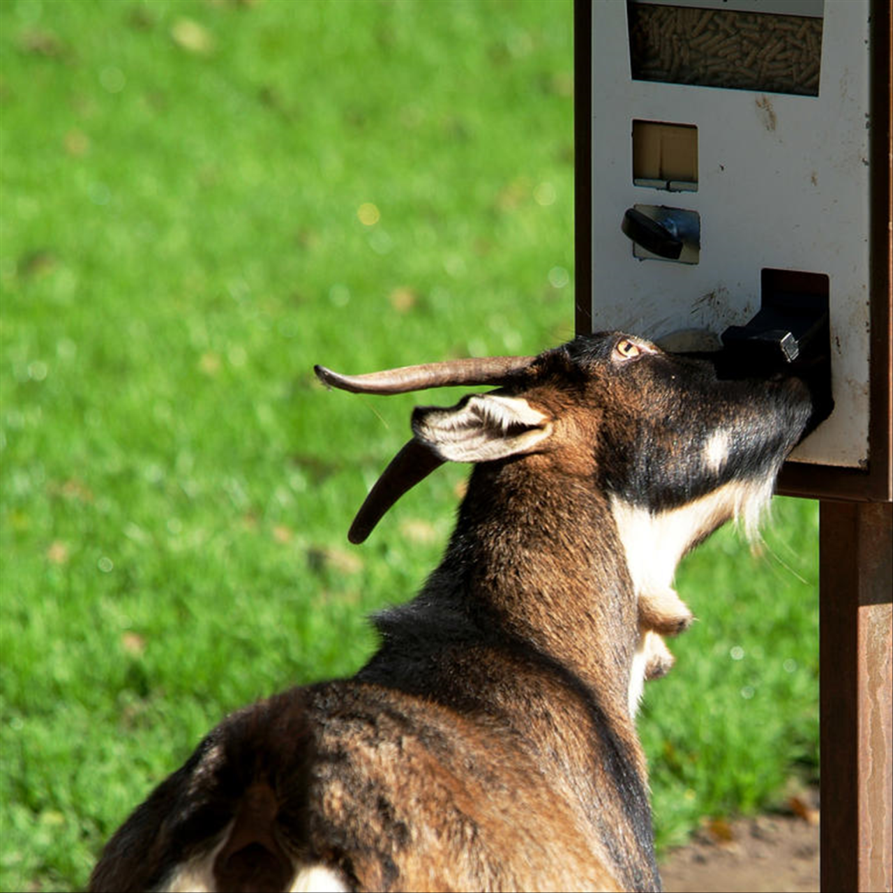 属相相生相克表属相相生相克顺口溜