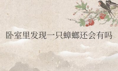 ​卧室里发现一只蟑螂还会有吗