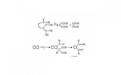 ​真爱在男人面前是胆怯