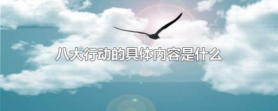 ​八大行动的具体内容是什么